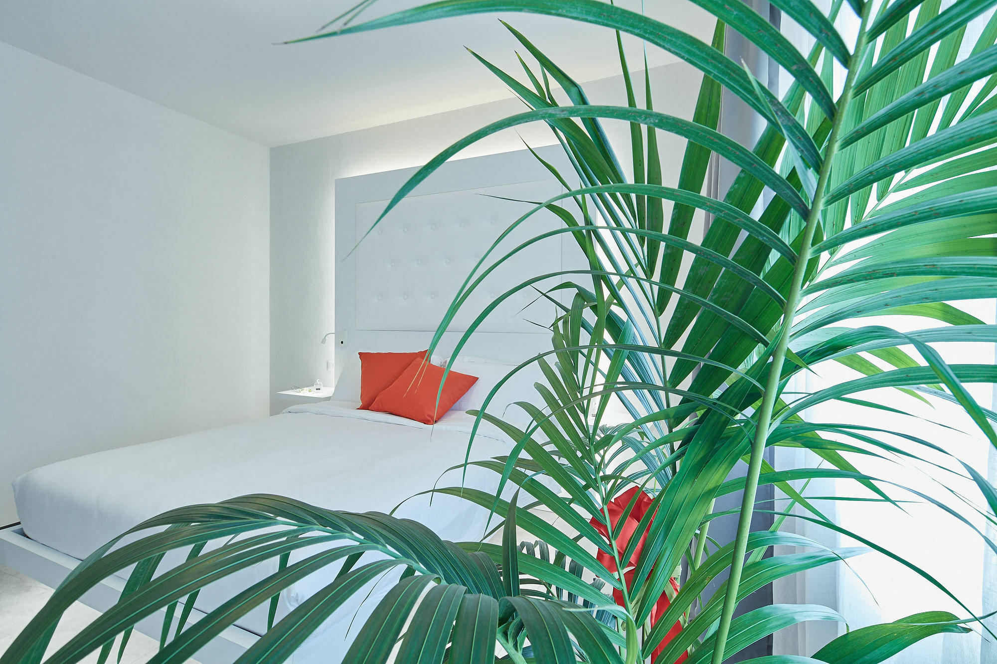 B&B Via Roma 25 Arezzo Ngoại thất bức ảnh